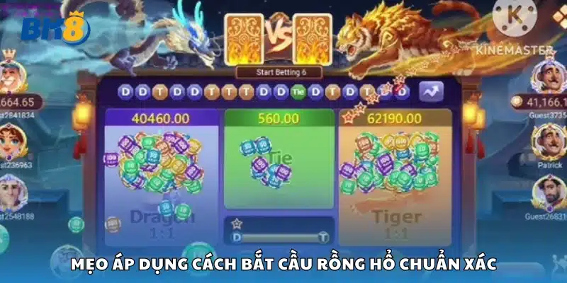 Tips áp dụng cách bắt cầu Rồng Hổ chuẩn xác