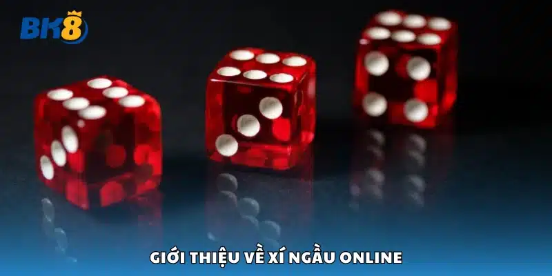 Thông tin cơ bản về xí ngầu online