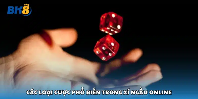 Vài loại cược phổ biến trong xí ngầu online