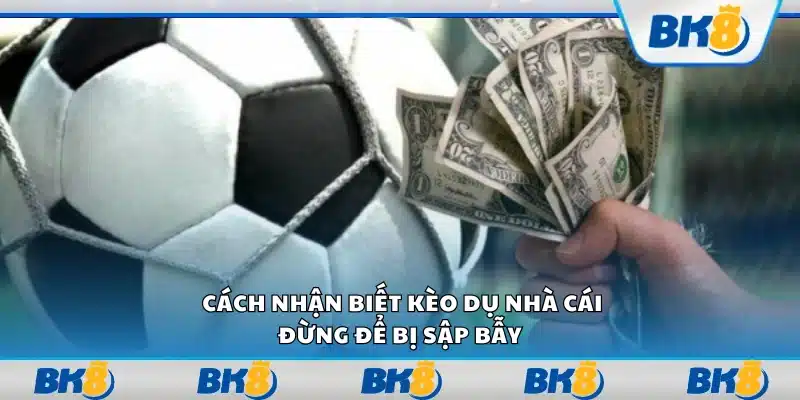 Cách nhận biết kèo dụ nhà cái – Đừng để bị sập bẫy