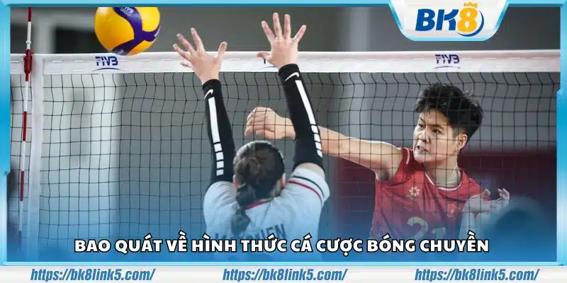 Giới thiệu tổng quan cá cược bóng chuyền