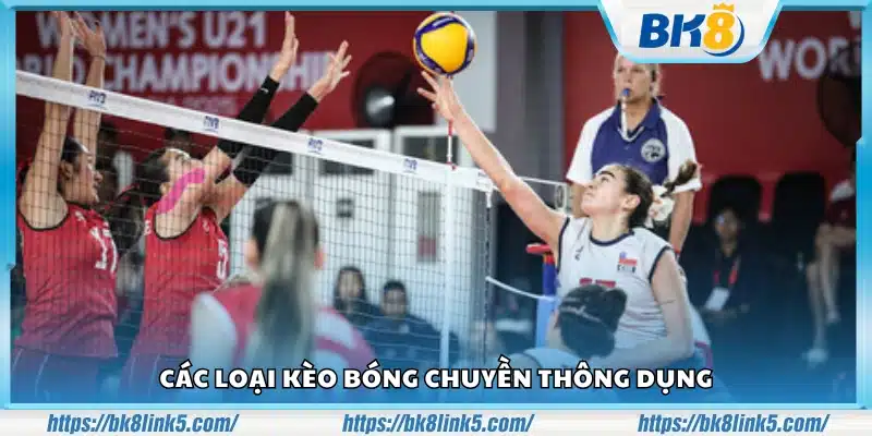 Các hình thức cược bóng chuyền được ưa chuộng