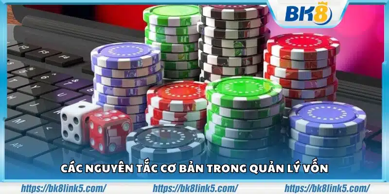 Nắm nguyên tắc cơ bản trong quản lý vốn