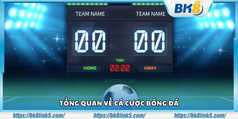 Giới thiệu khái quát về hình thức cá cược bóng đá